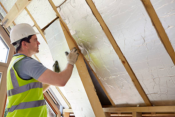 Best Eco-Friendly or Green Insulation Solutions  in Gridley, IL